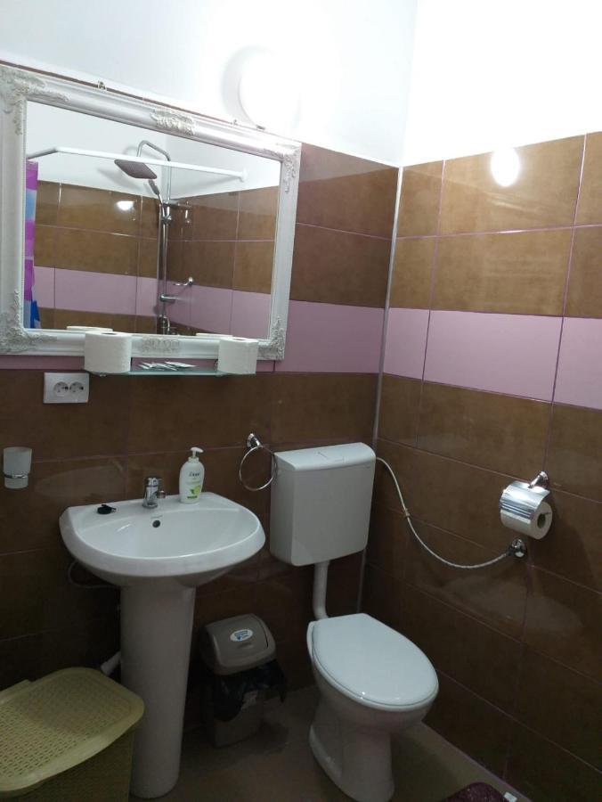 BistriţaSara Houseアパートメント エクステリア 写真