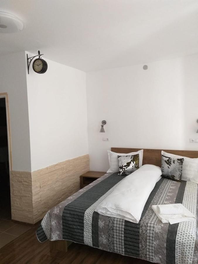 BistriţaSara Houseアパートメント エクステリア 写真