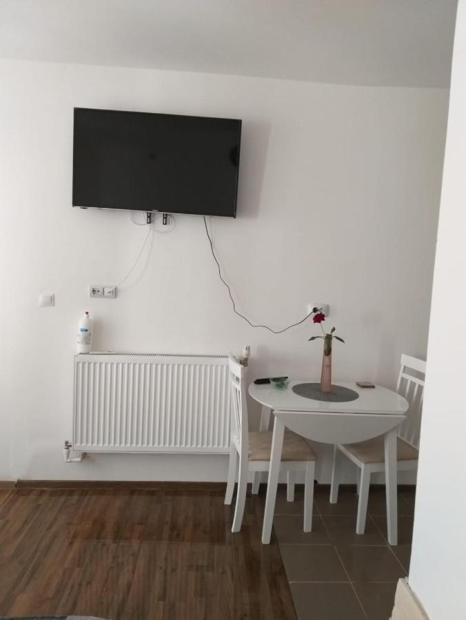 BistriţaSara Houseアパートメント エクステリア 写真