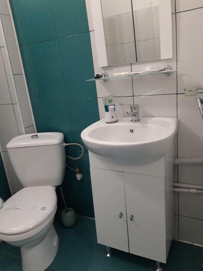 BistriţaSara Houseアパートメント エクステリア 写真