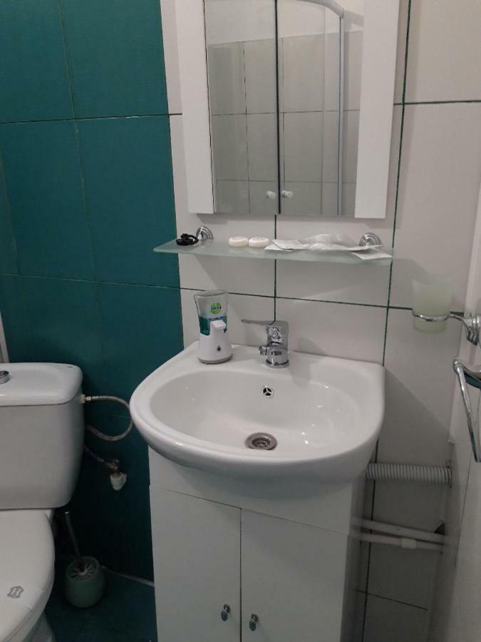 BistriţaSara Houseアパートメント エクステリア 写真