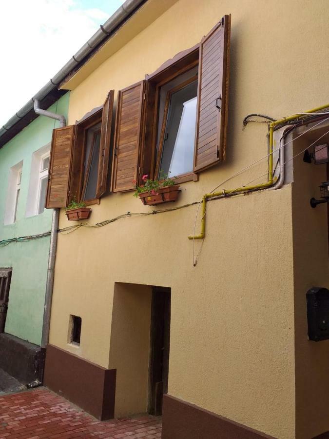 BistriţaSara Houseアパートメント エクステリア 写真